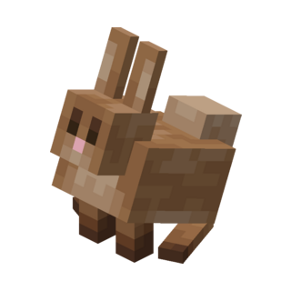 Rabbit