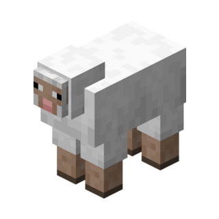 Sheep